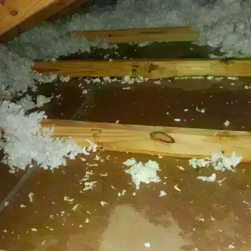 Attic Water Damage in Pedley, CA