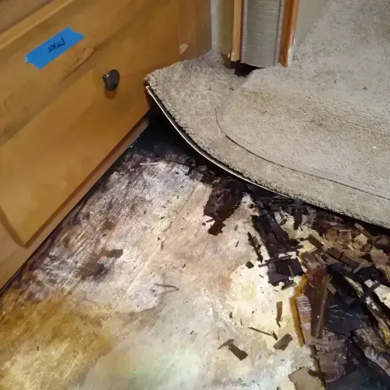 Best Wood Floor Water Damage Service in Pedley, CA